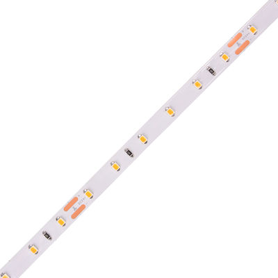 110lm/W Smd2835 RGB LED Strip Light 8mm Dc 12v 24v Ip20 Ip65